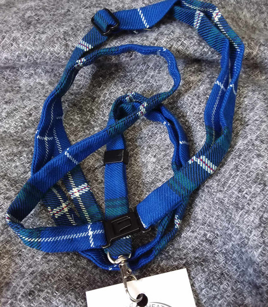 Lanyard