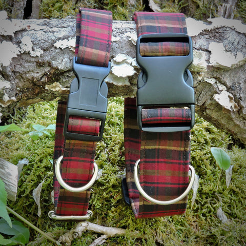Dog Collar~ Med & Large Dogs 1.5" Wide