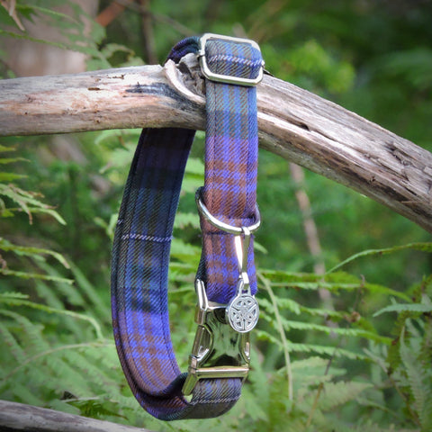 Plaid pups  Tartan Dog Collar