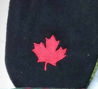 Canada Is Not For Sale Mittens