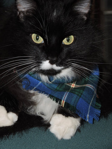 Celtic Cats Tartan Scarf